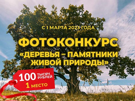 Стартовал Всероссийский фотоконкурс «Деревья – памятники живой природы»
